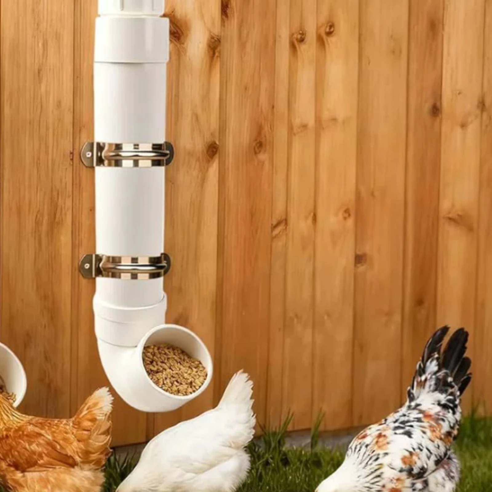 Bebedero automático para pollos de patio – Gran capacidad y fácil instalación - imagen 4