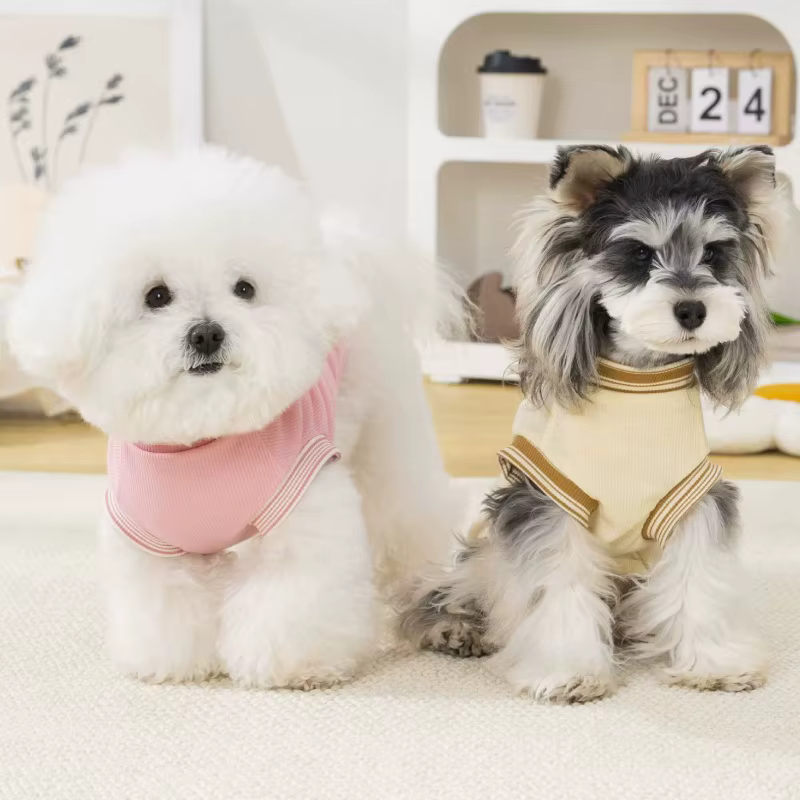 Camiseta de verano con estampado de oso para perros y gatos - imagen 4