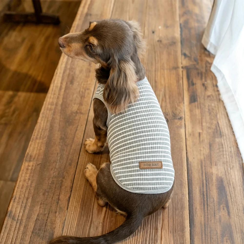 Prenda tipo camisola para perro