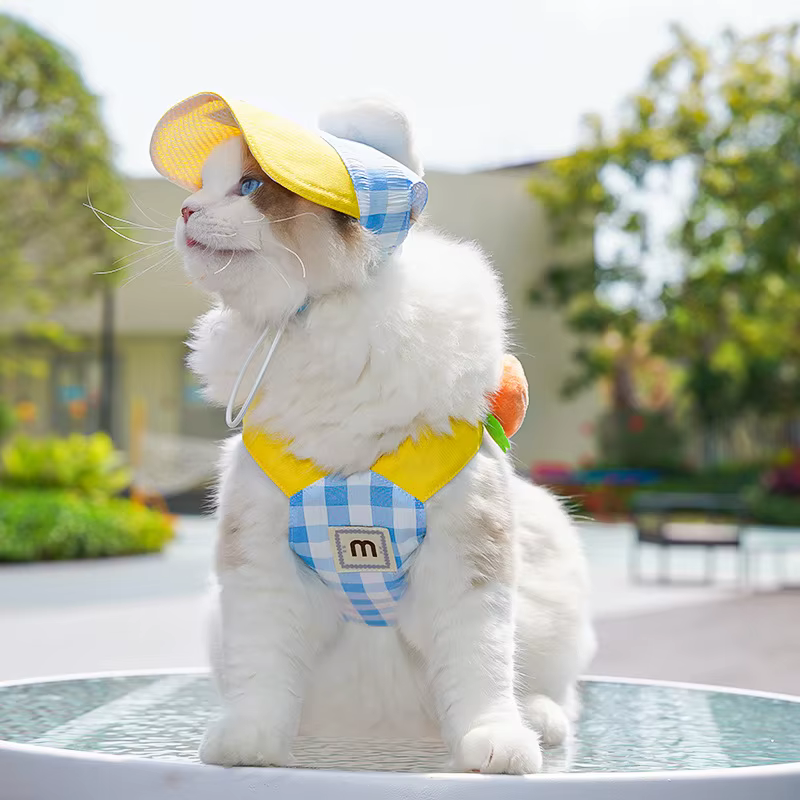 Ropa de verano a cuadros para cachorro: arnés, correa y sombrero - imagen 3