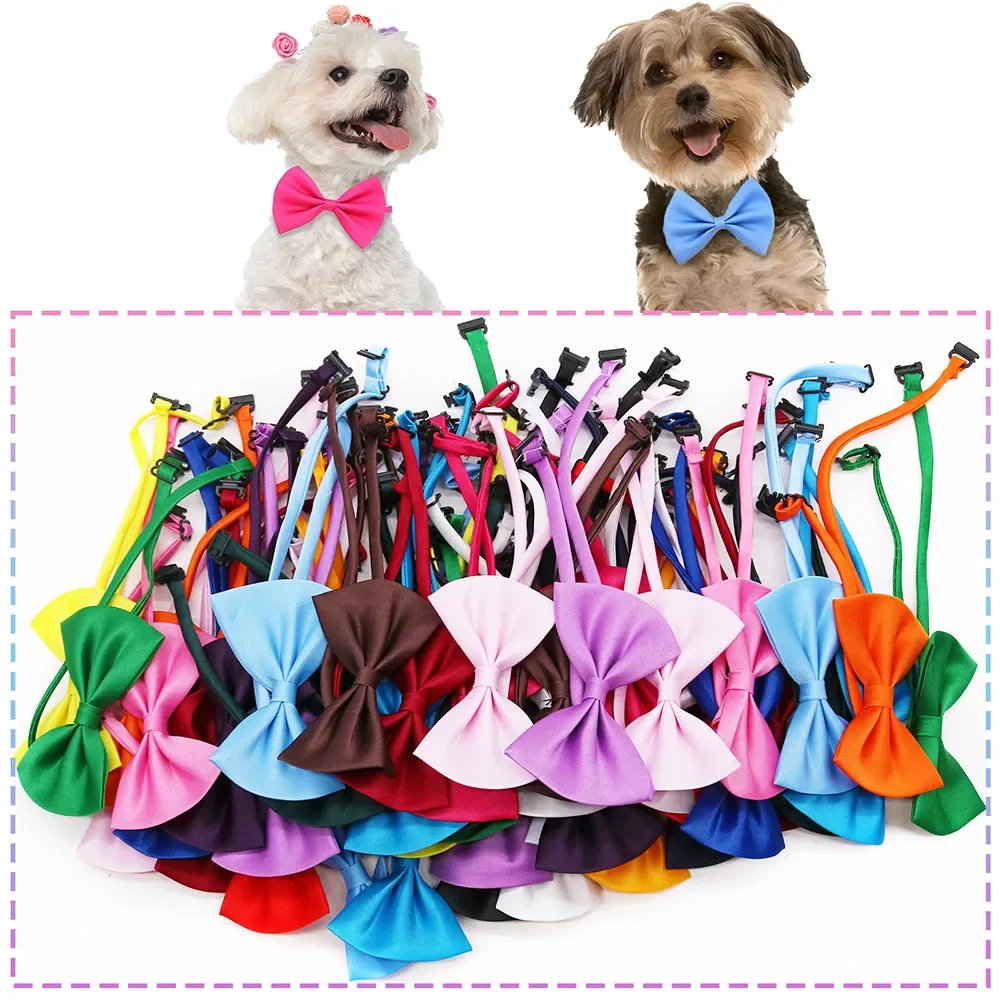 Perro con corbata en verschiedene colores