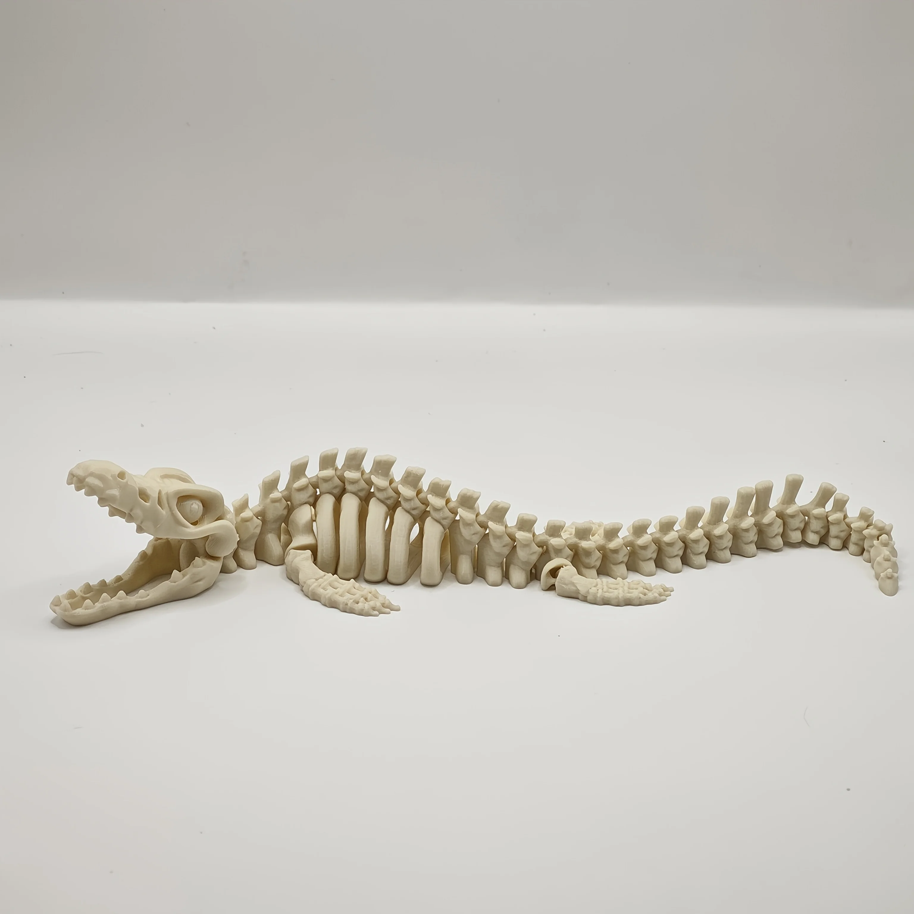 Detalle de huesos de dinosaurio para decoración de pecera