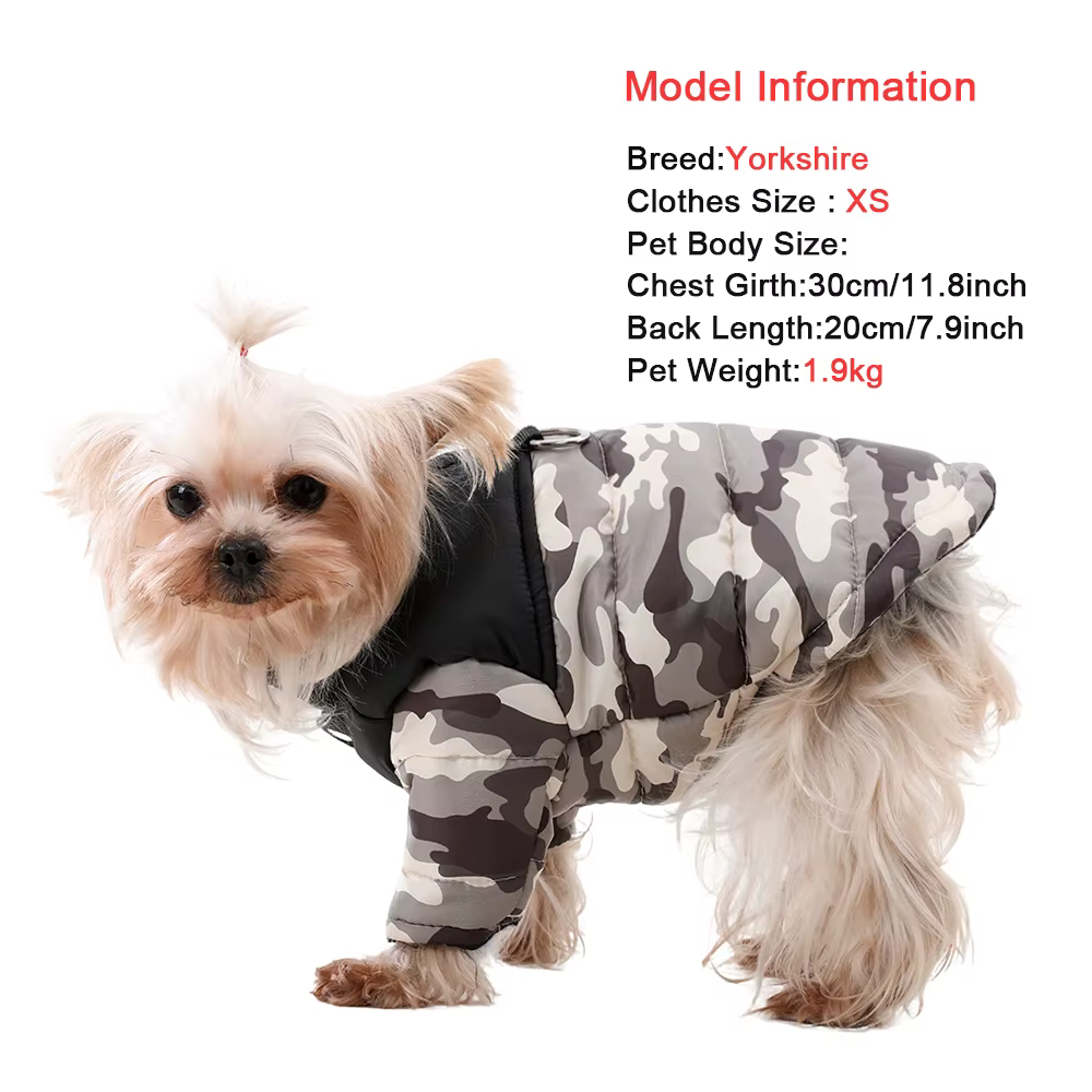 Chaqueta cortavientos para perros pequeños: Chihuahua y Yorkshire - imagen 2