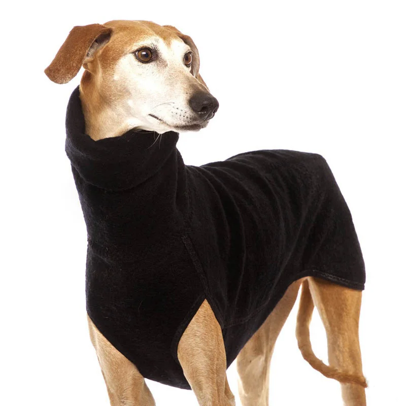 Perro con la chaqueta puesta cómodamente