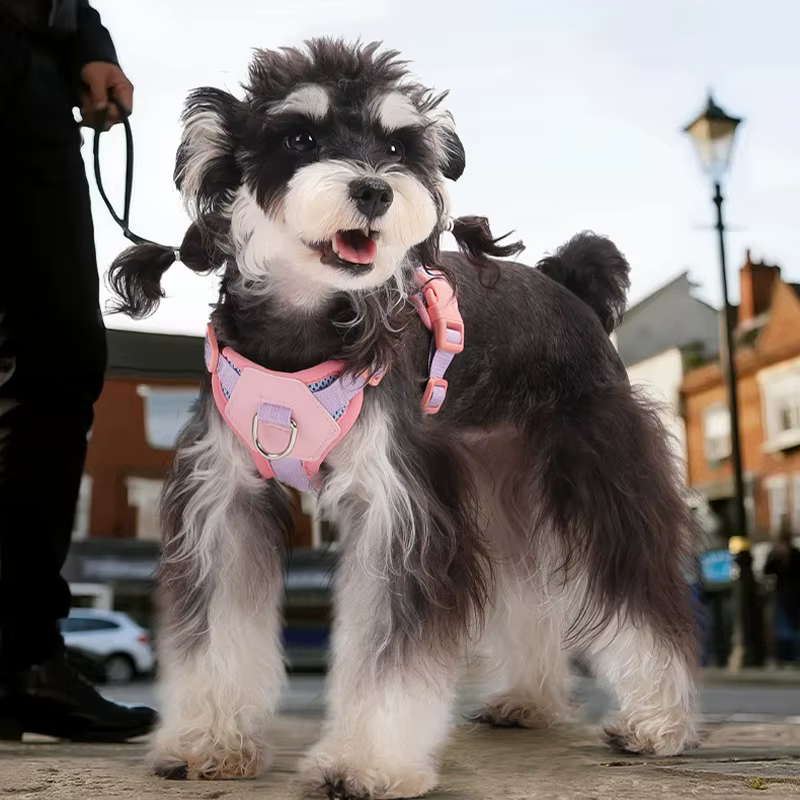 Arnés y Correa para Perros y Gatos – Set transpirable ajustable - imagen 2