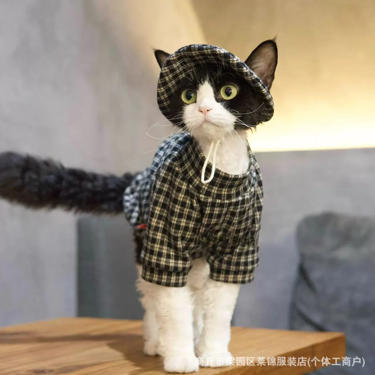 Ropa cálida para gatos Sphynx y Devon Rex con sombrero pescador