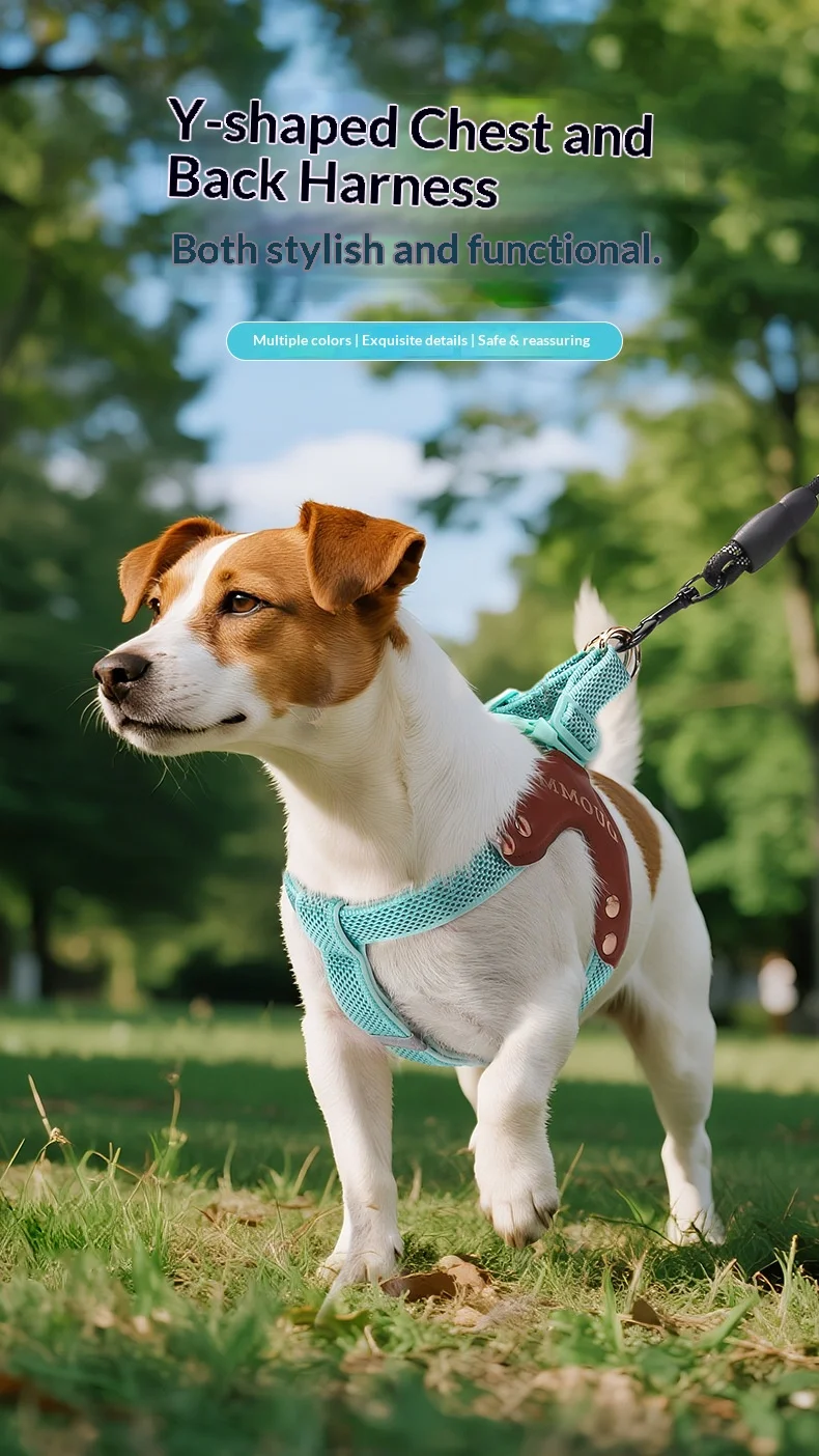 Arnés de cuero vintage para perro