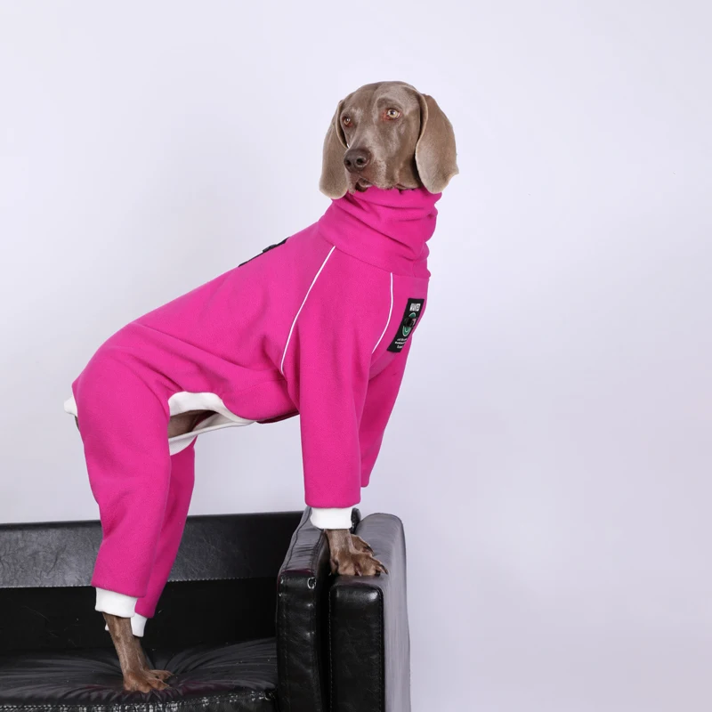 Vista frontal de la ropa para perro