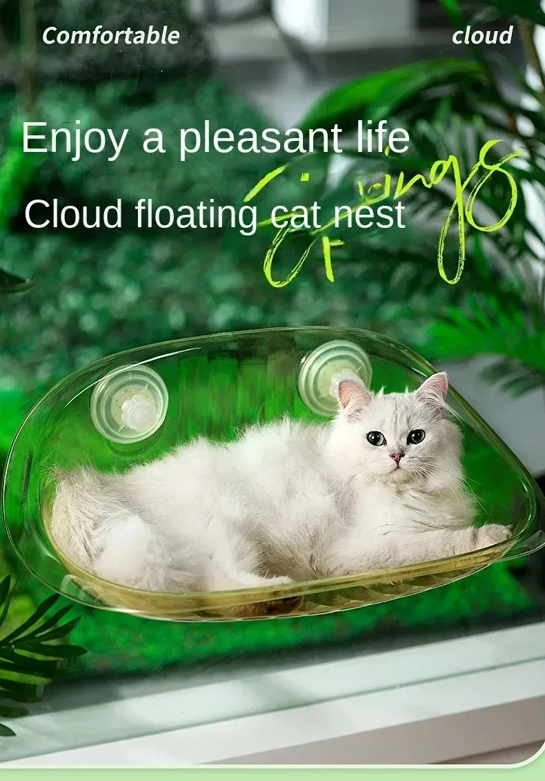 Vistas desde la ventana