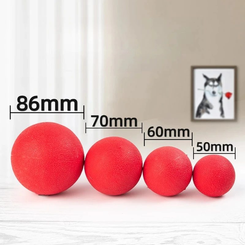 Pelota de goma roja para perro