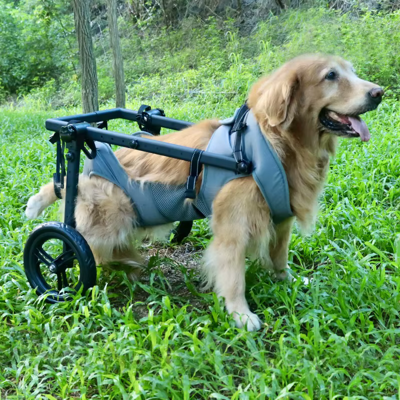 Silla de ruedas ajustable para perros medianos y grandes – Rehabilitación trasera - imagen 4