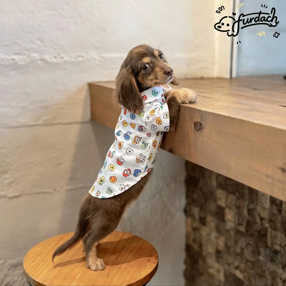 Camiseta algodón con botones para perro Dachshund con mangas, primavera - imagen 3