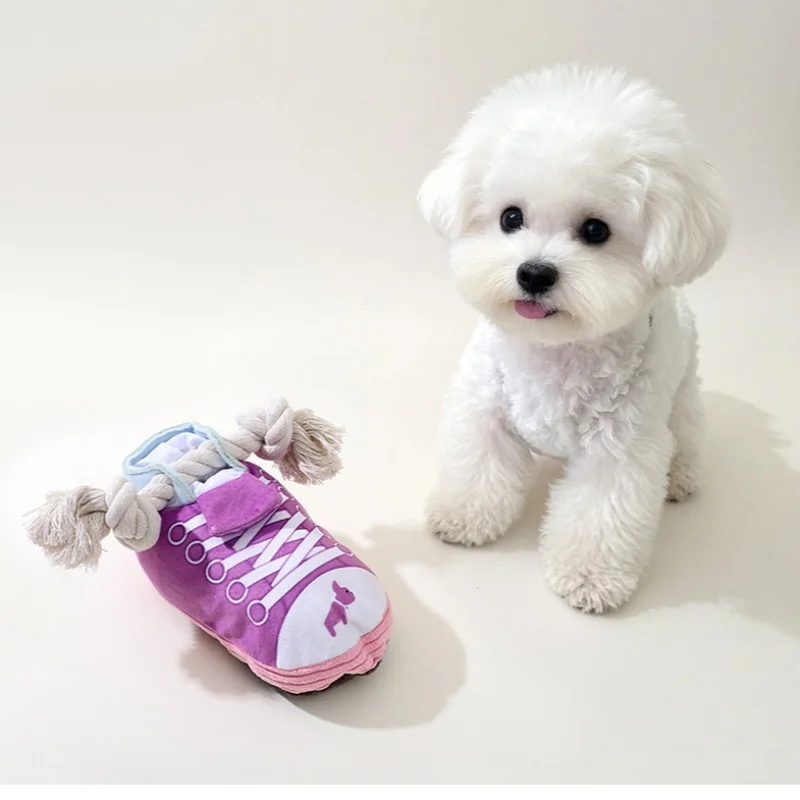 Perro jugando con la zapatilla y una golosina escondida