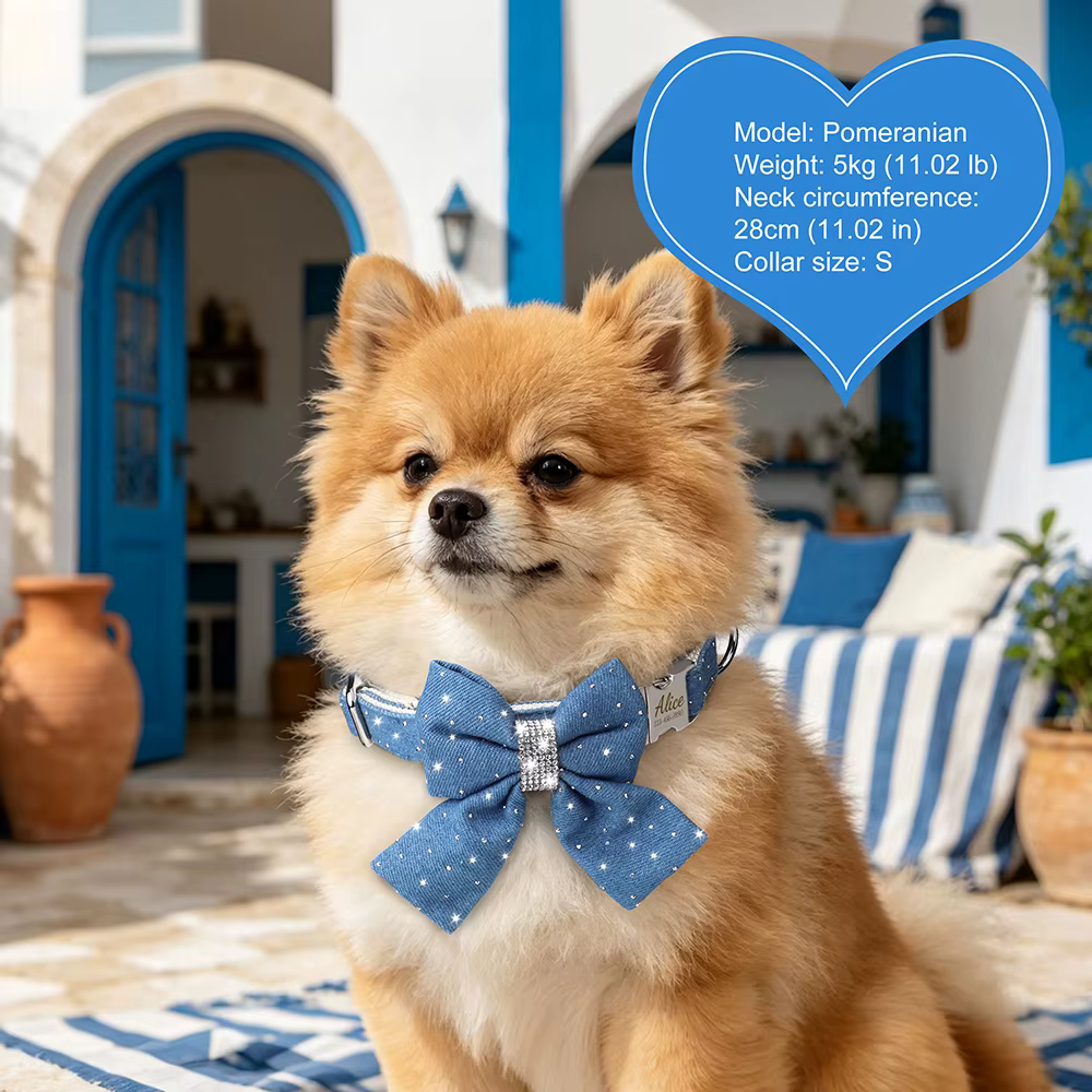 Collar personalizado para perros con nombre y lazo brillante de mezclilla - imagen 4
