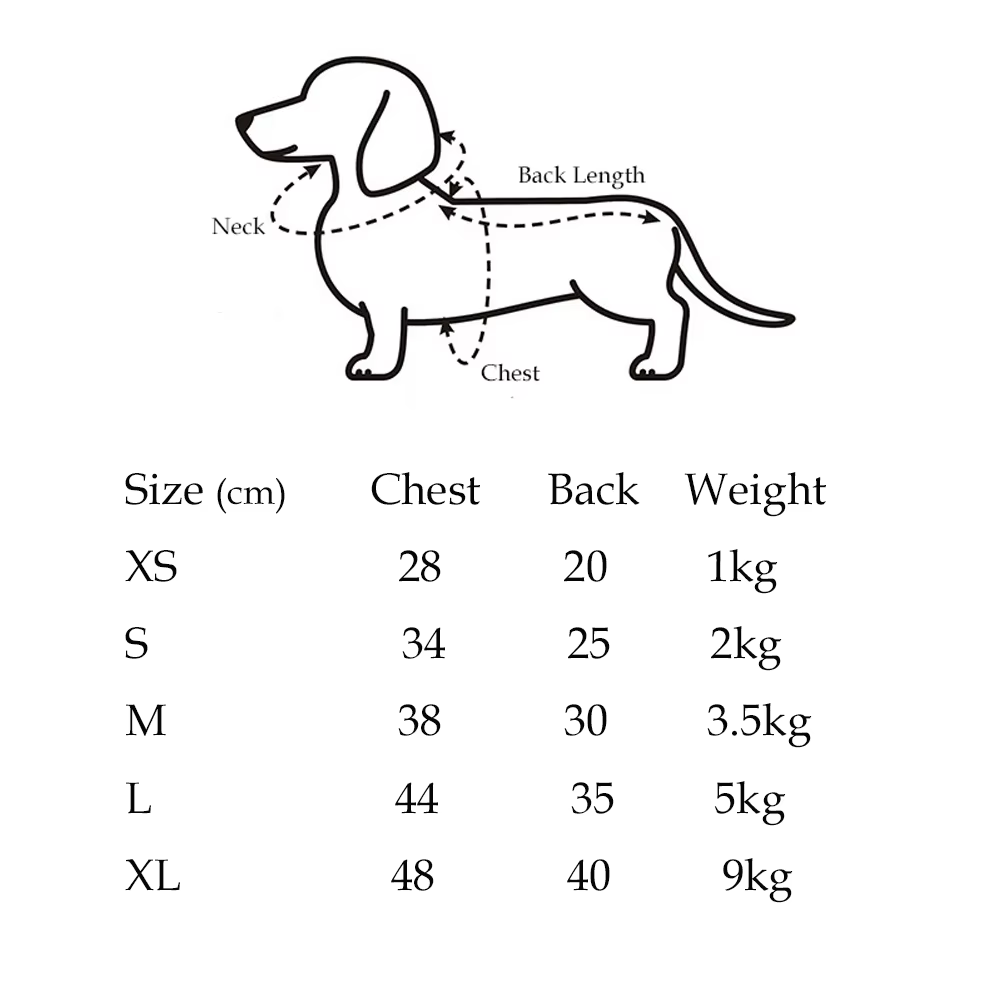 Suéter gris colocado sobre un perro Dachshund