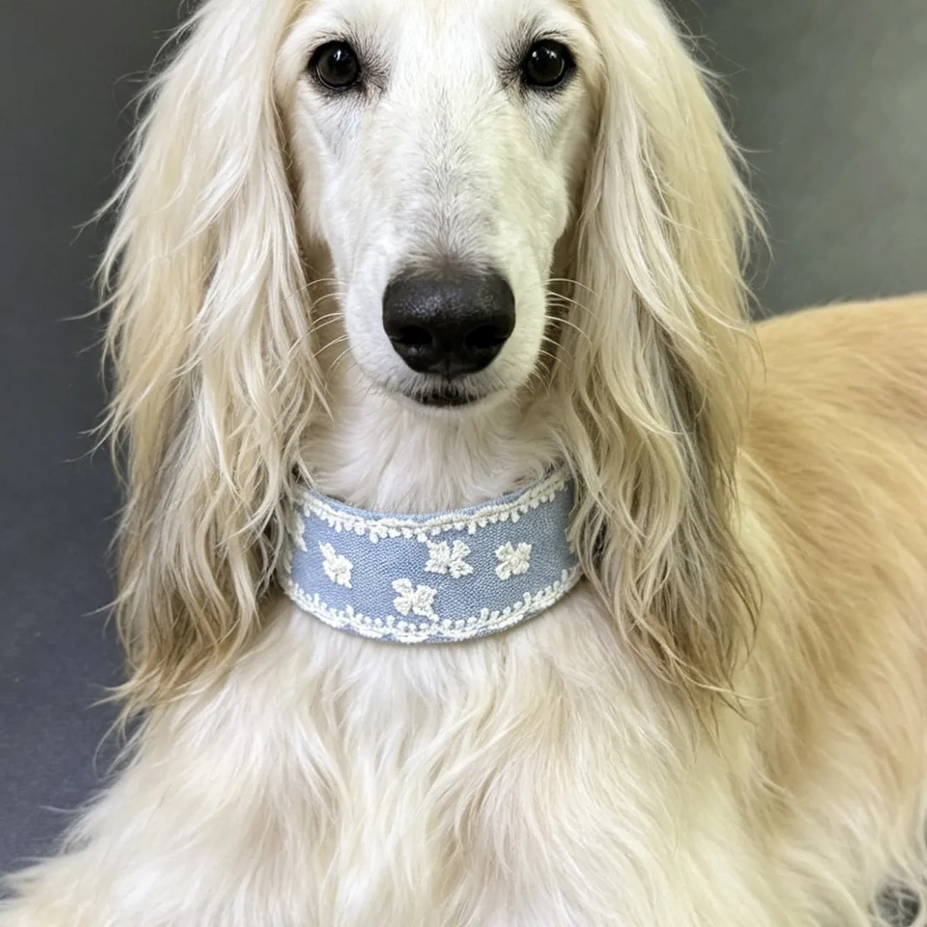 Collar de cuero genuino para perro ajustable – Resistente para paseos - imagen 5