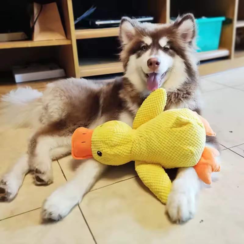 Juguete para perros peluche pato amarillo interactivo antiestrés - imagen 3