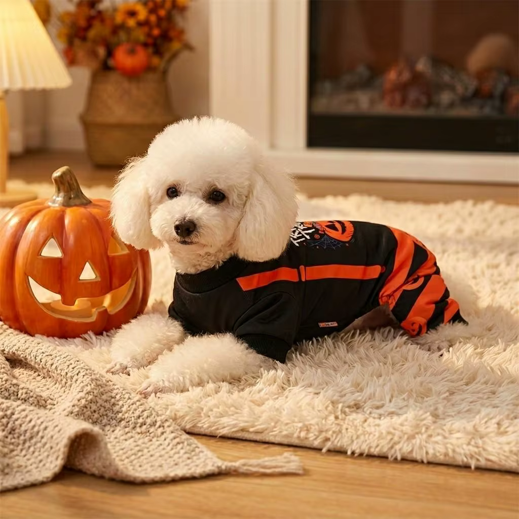 Lazo y acabados del pijama de calabaza