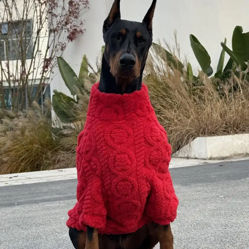 Perro grande jugando en la nieve con el suéter rojo visible