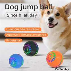 Pelota con movimiento automático USB para perros