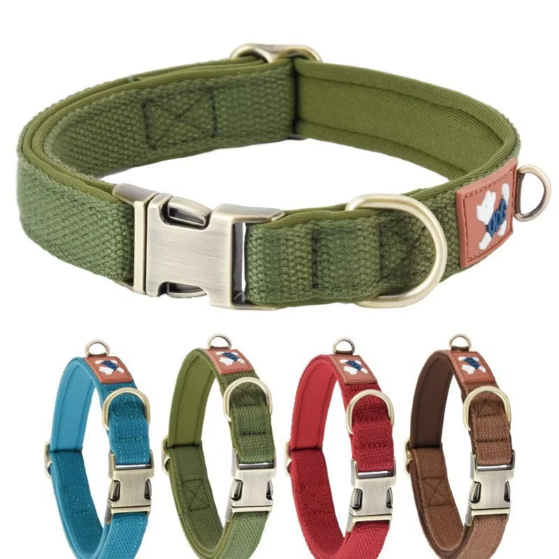 Ejemplo de mascota con el collar puesto en un entorno exterior