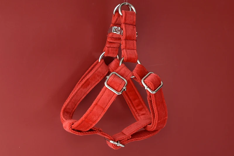 Correas disponibles