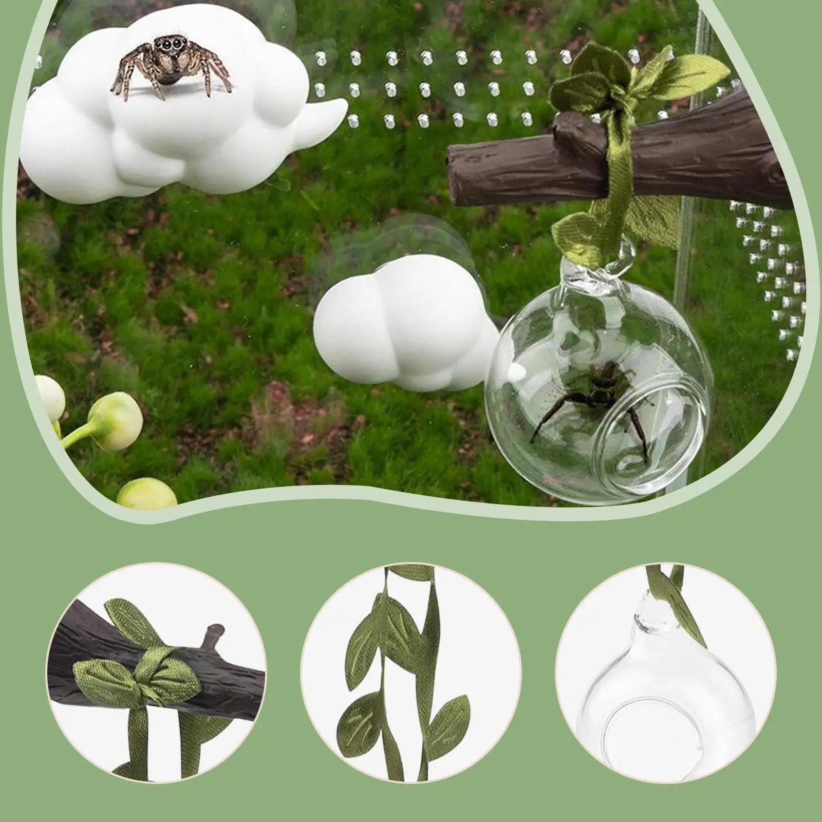 Accesorios completos para terrario