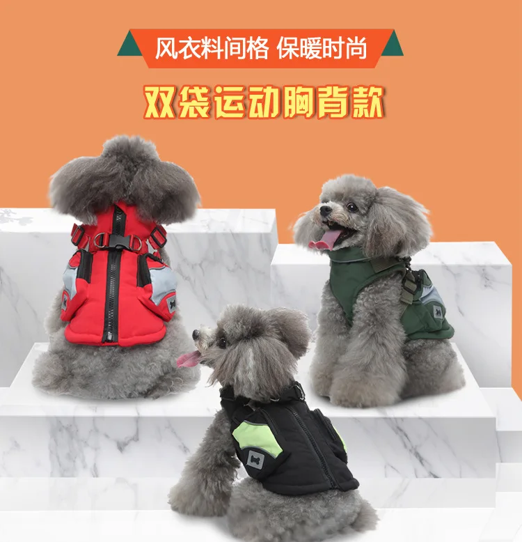 Ropa de invierno para perros pequeños