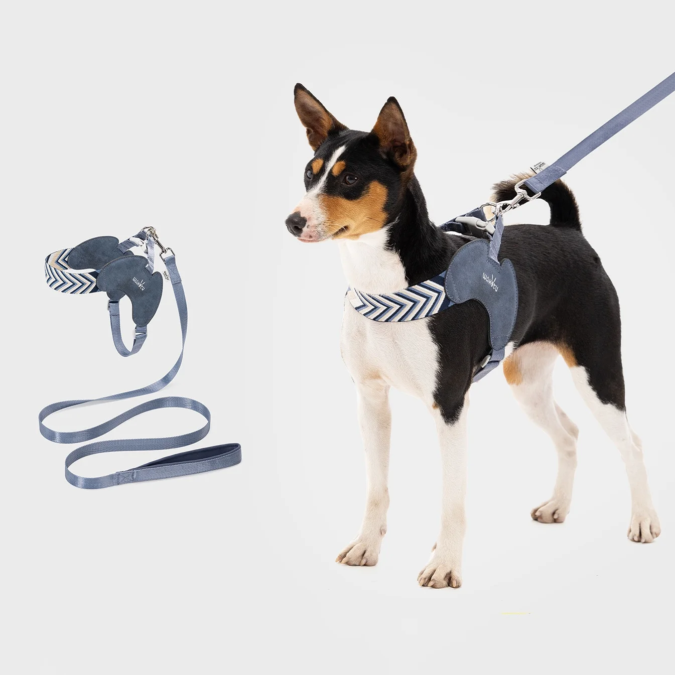 Arnés sin tirones para perro tipo chaleco ajustable con correa - imagen 2