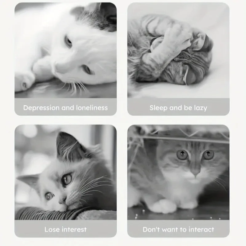 Estimulación mental para perros y gatos