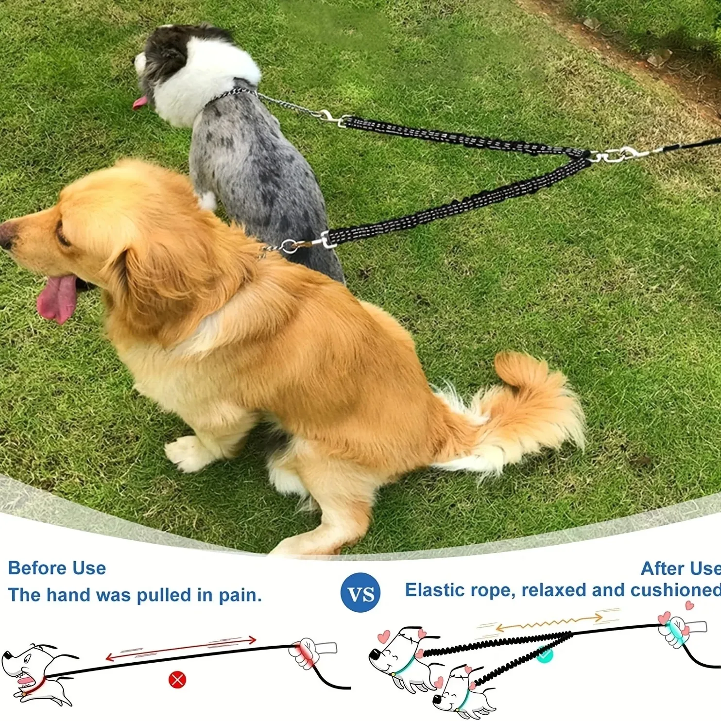 Correa doble elástica extensible para perros – paseo y entrenamiento - imagen 2