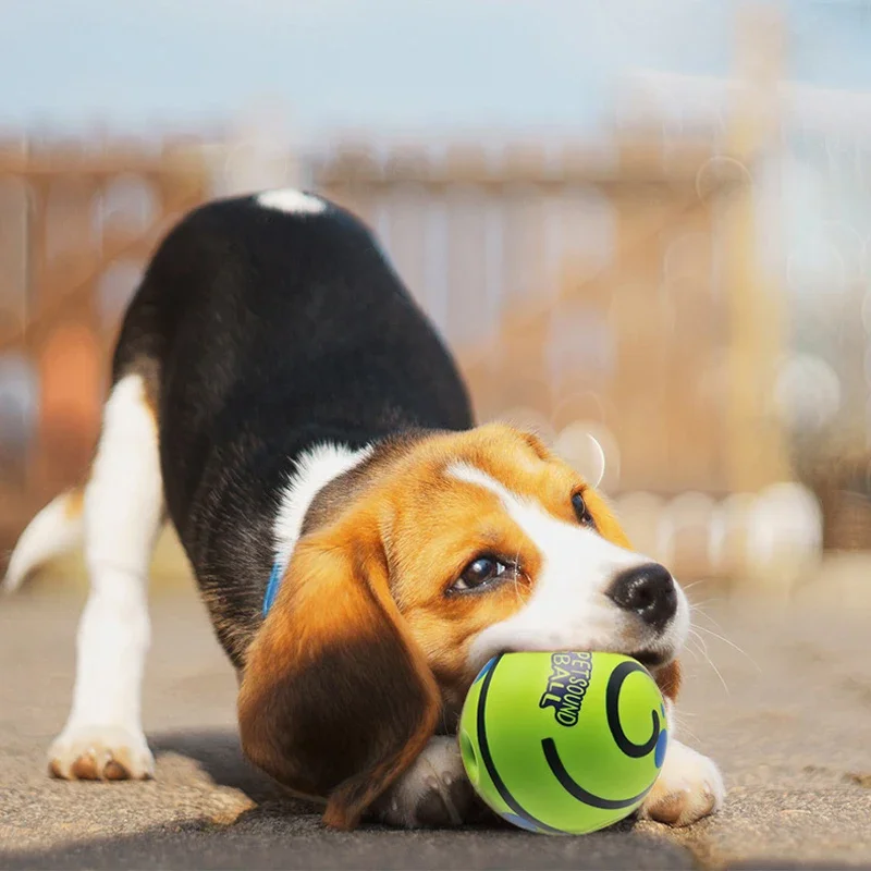 Juguete interactivo para perros
