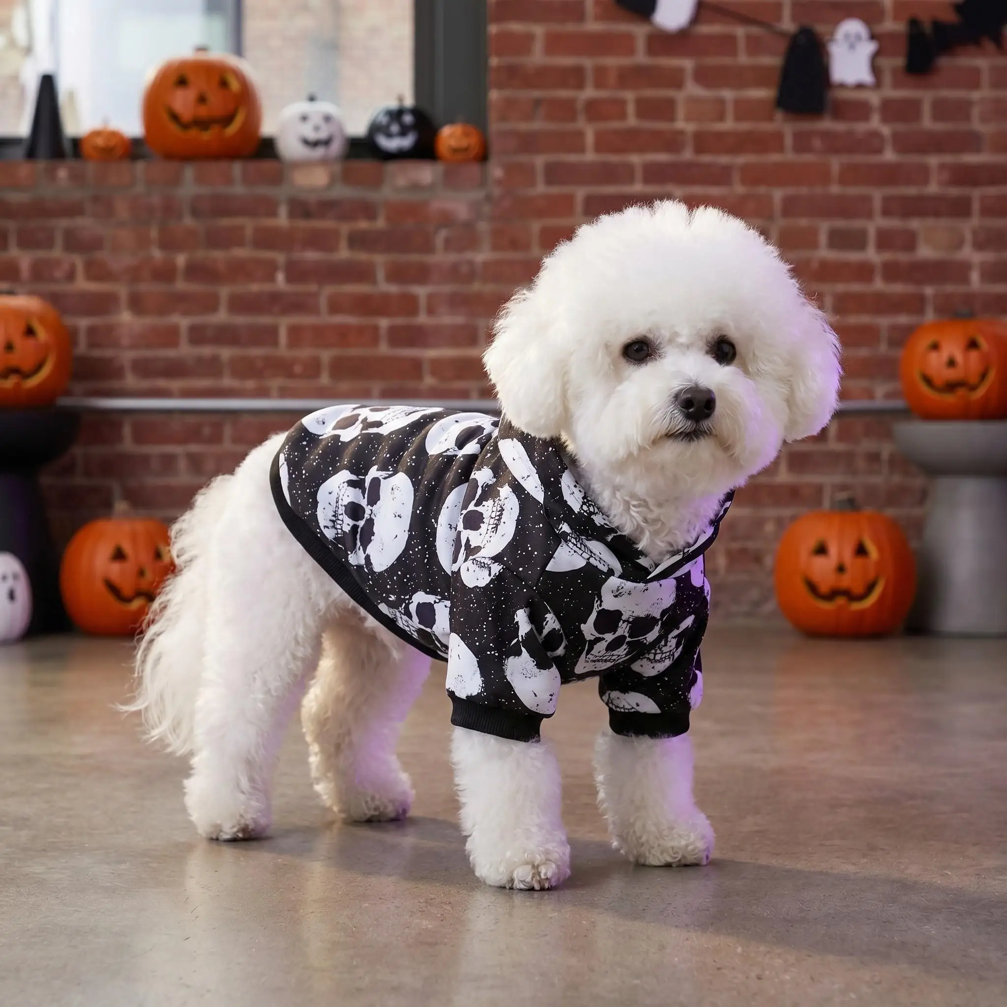 Sudadera vintage para perros pequeños y medianos