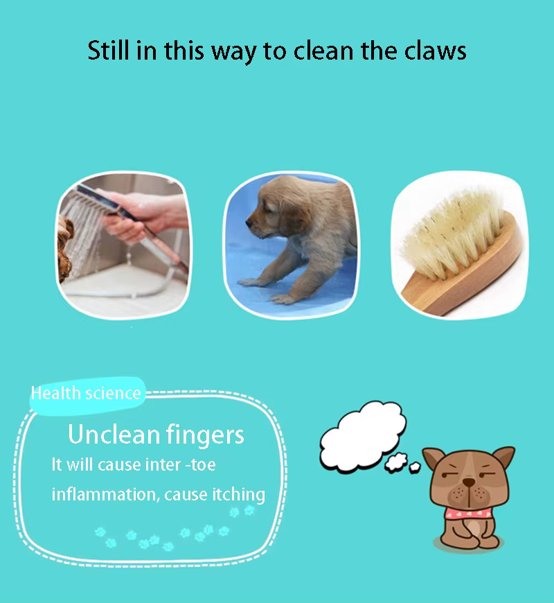 Desmontaje para limpieza