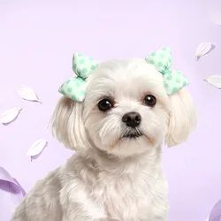 Accesorio de peluquería: lazos ajustables para perros y gatos