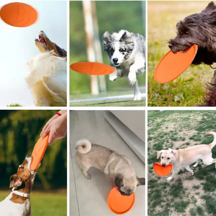 Disco dorado para perros grandes en césped