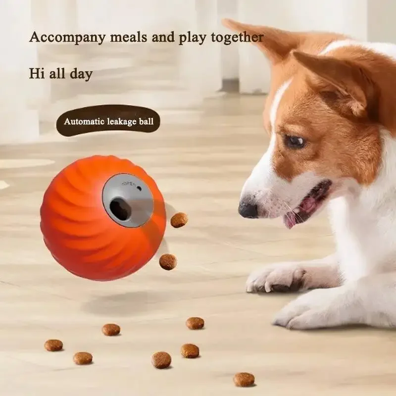 Bola para mascotas en uso