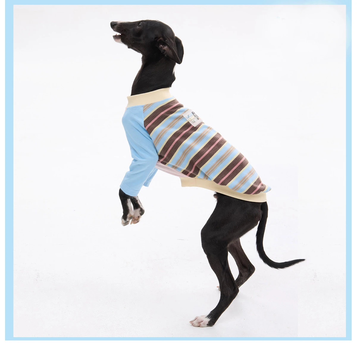 Abrigo de algodón a rayas para perros Galgo Italiano y Whippet - imagen 3