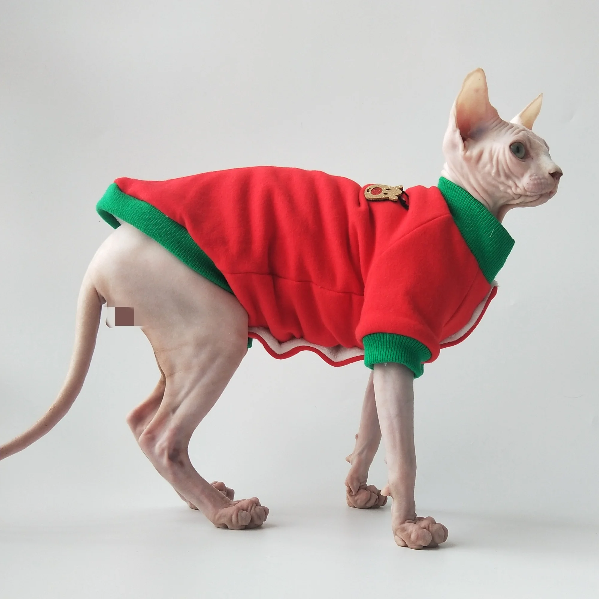 Gato Sphynx con chaqueta navideña