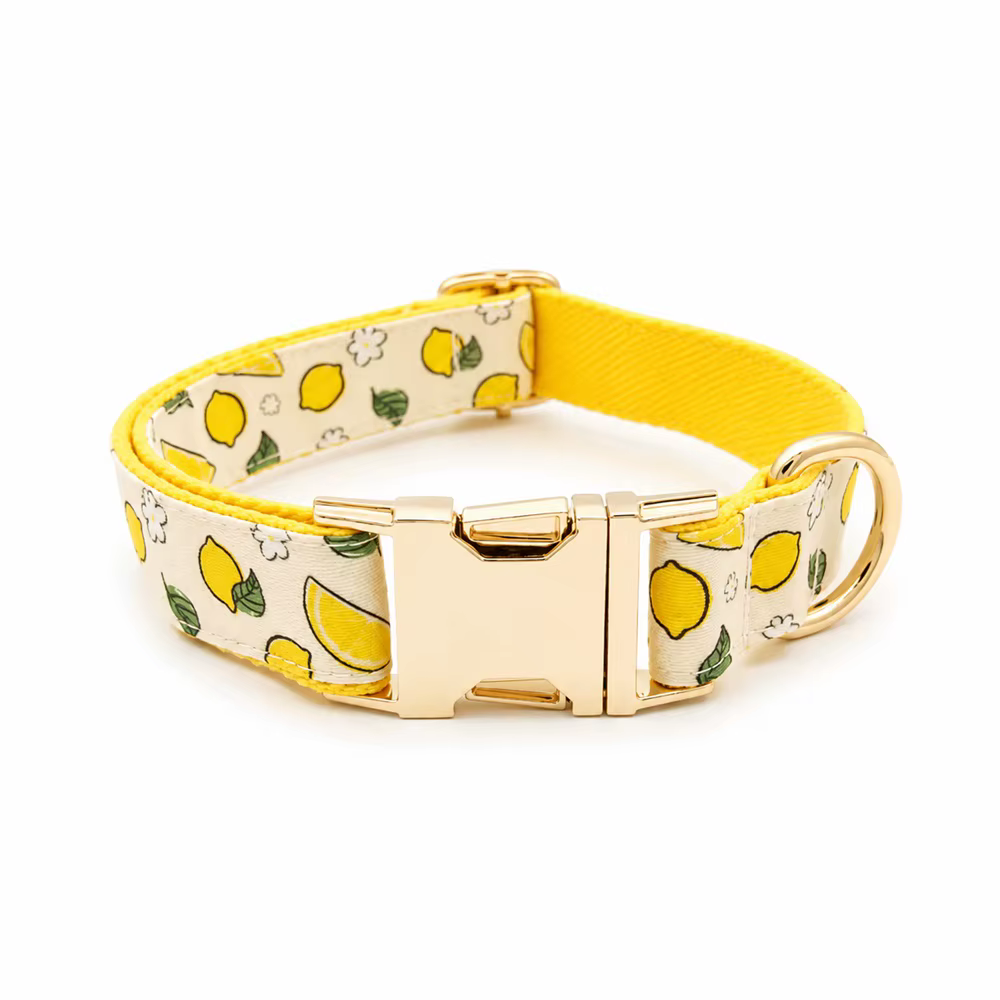 Collar personalizado para perro con estampado de fresa, limón y sandía - imagen 2