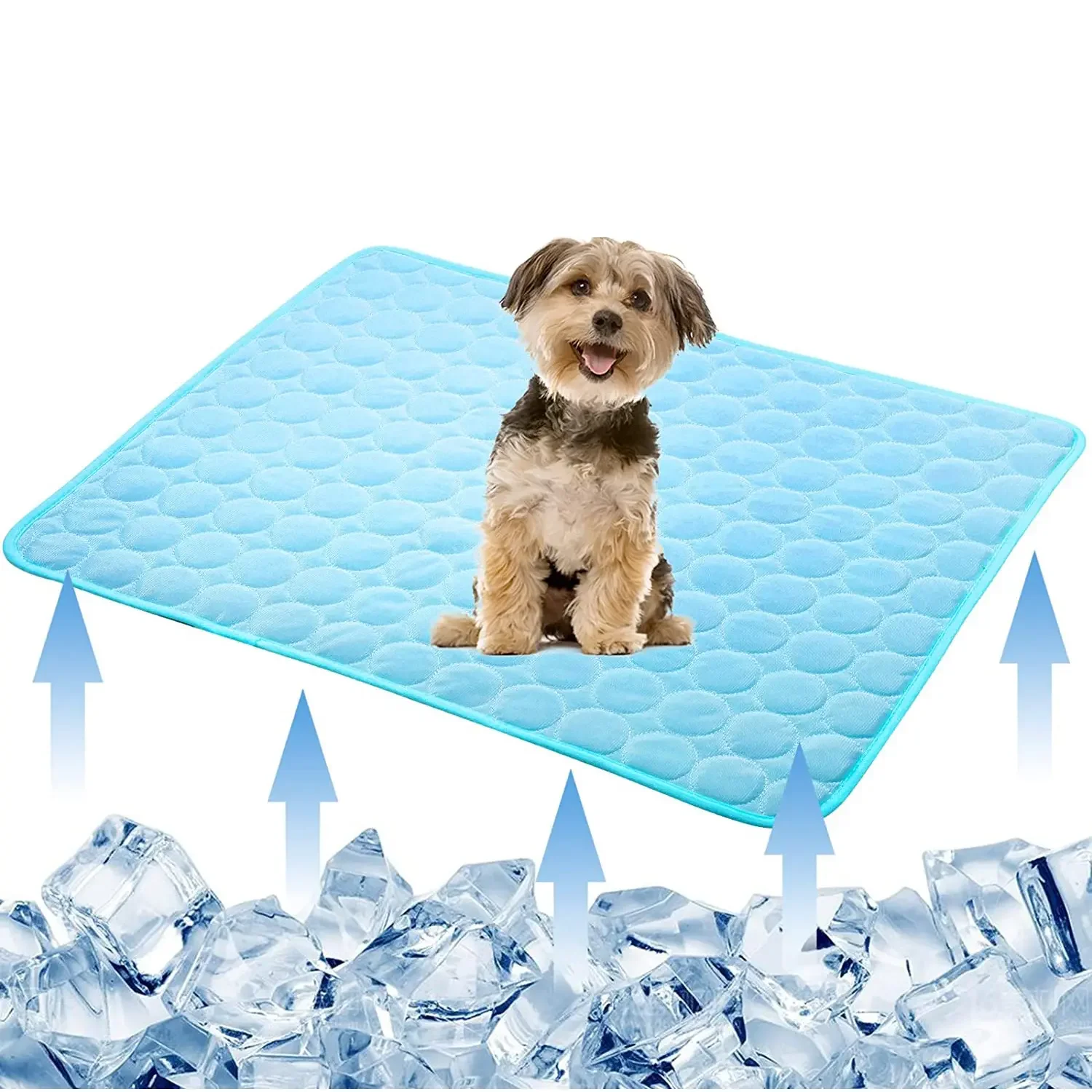 Cama de verano para mascotas