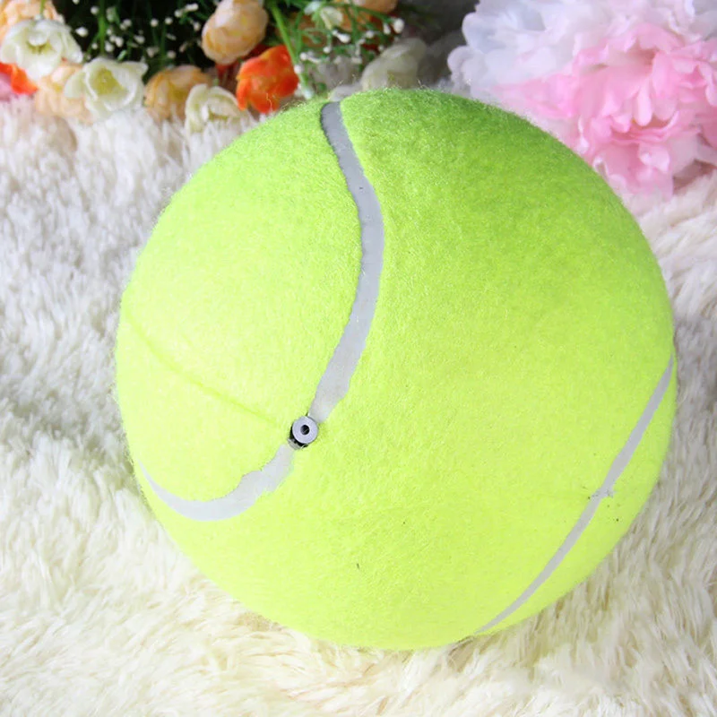 Pelota guardada en bolsa