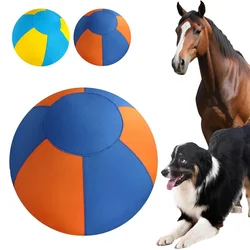 Pelota de pastoreo para perros con funda y bomba – Juego interactivo exterior