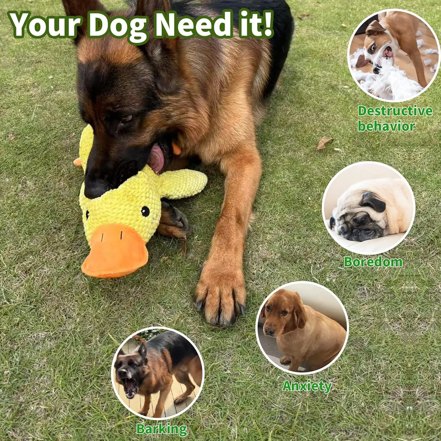 Peluche pato resistente para perros – Alivia encías y dientes - imagen 4