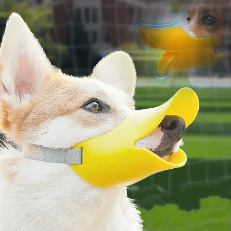 Perro con el bozal durante un paseo