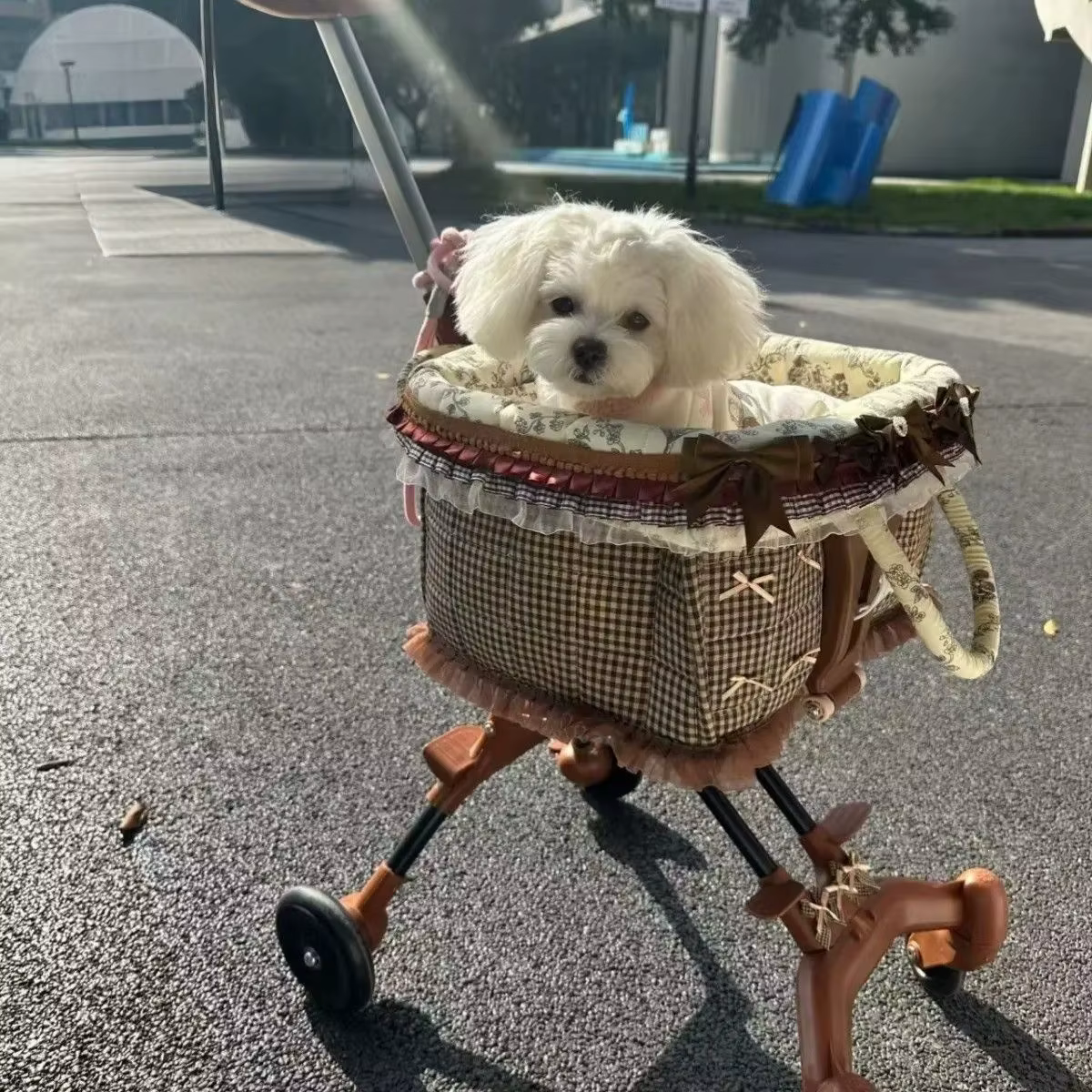 Carrito plegable transpirable para perros y gatos pequeños - imagen 2