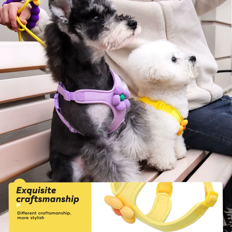 Arnés floral ajustable con correa para perro - imagen 4