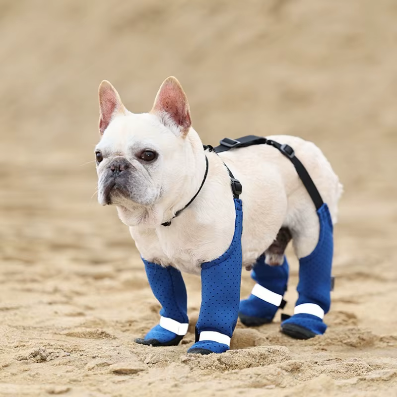 Zapatos para perros transpirables de verano – Antideslizantes y resistentes para paseos - imagen 5