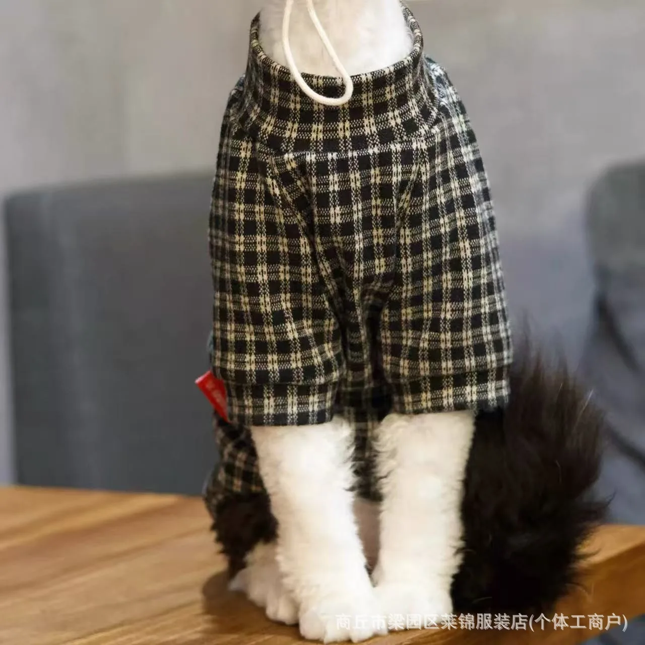 Ropa cálida para gatos Sphynx y Devon Rex con sombrero pescador - imagen 4