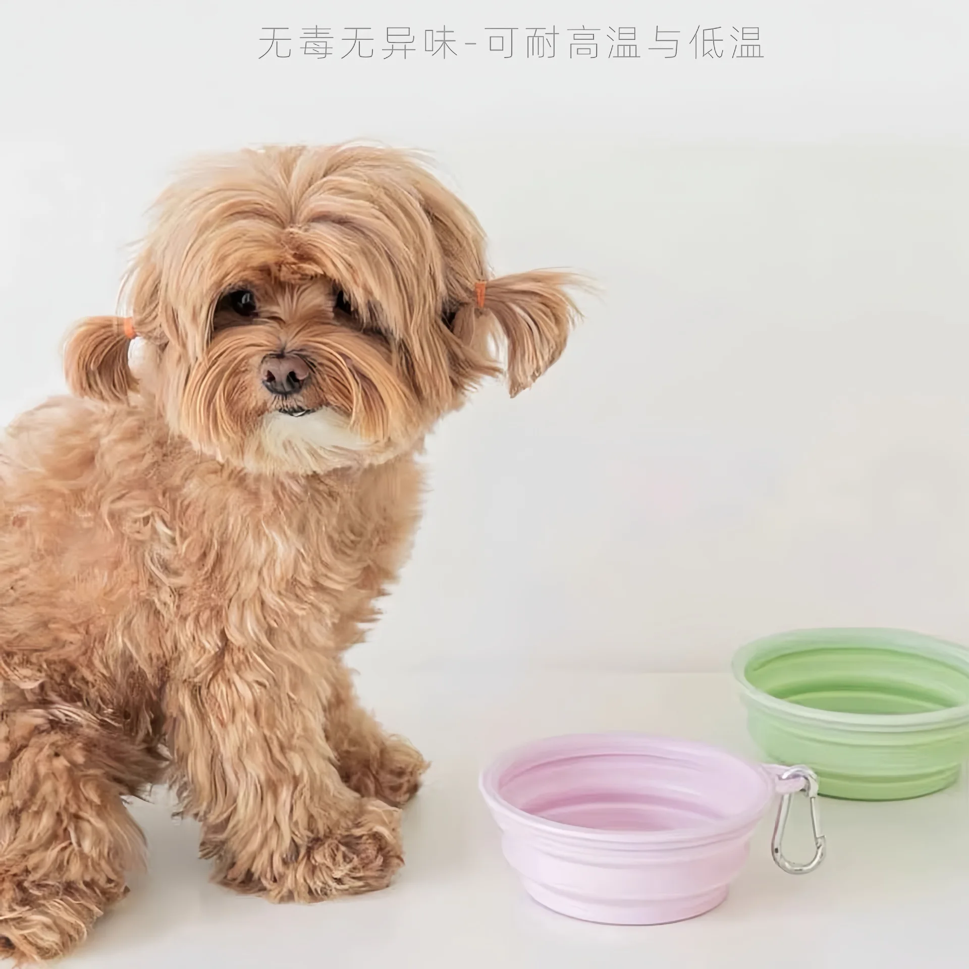 Cuenco plegable para beber al aire libre: perros y gatos portátil - imagen 5